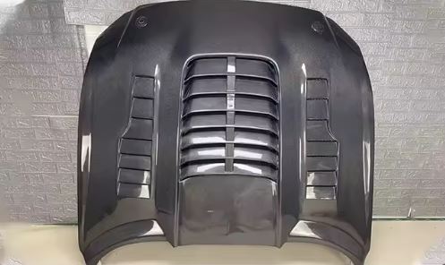 CarbonGT500Motorhaube